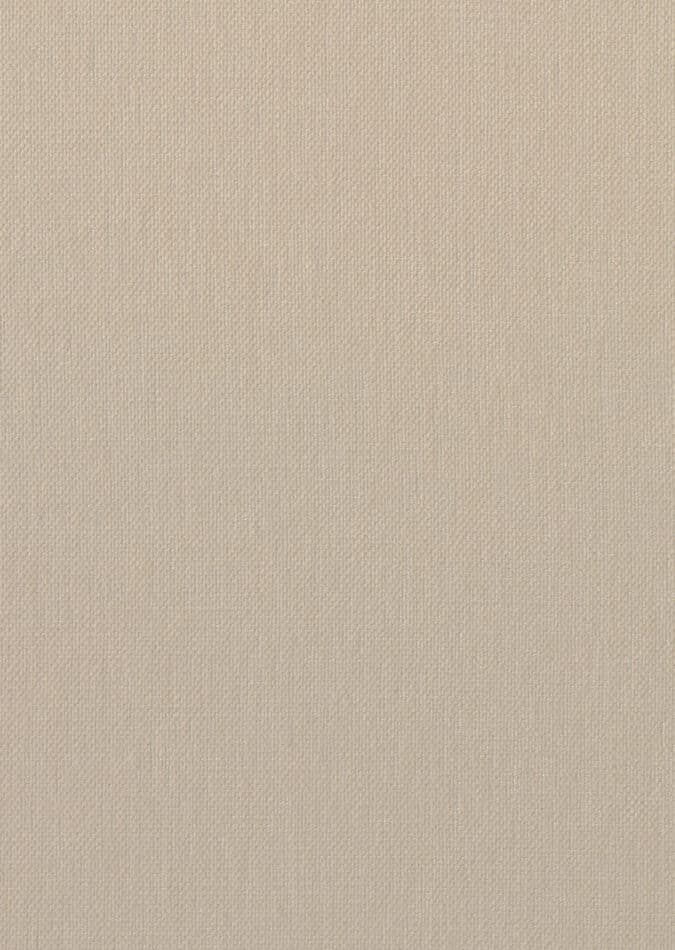 0107370001_denham_01_texture