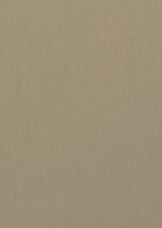 0107370004_denham_04_texture