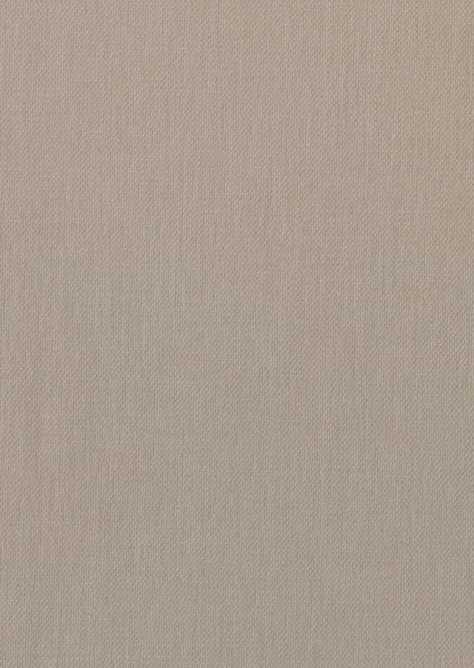 0107370005_denham_05_texture