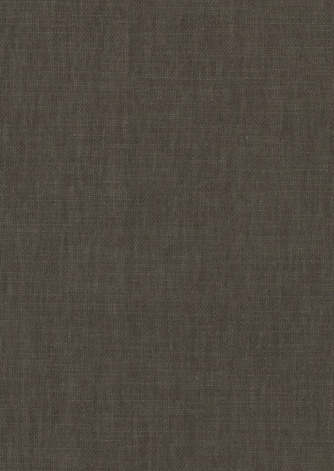 0107370008_denham_08_texture