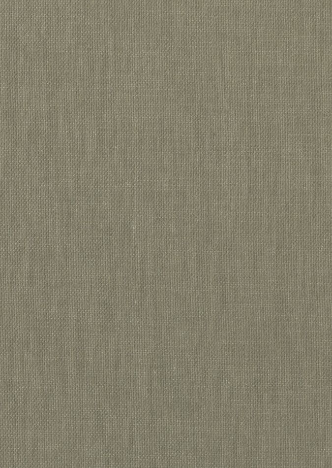 0107370017_denham_17_texture