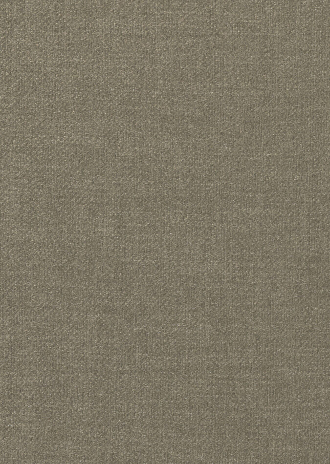 0107400001_harvard_01_texture
