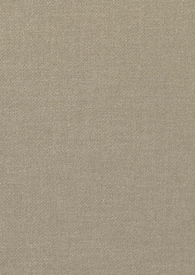 0107400002_harvard_02_texture