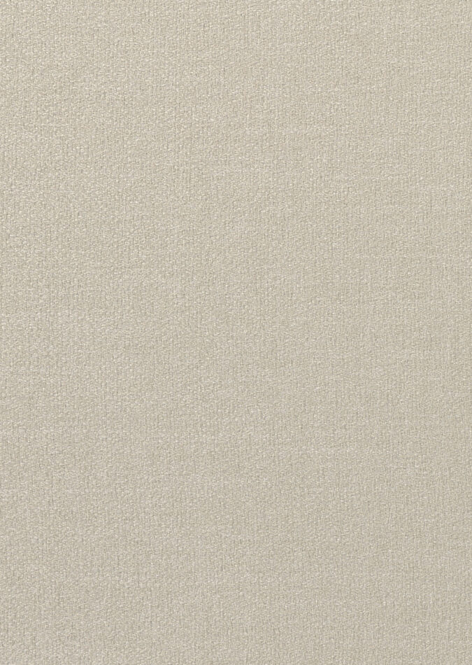 0107400003_harvard_03_texture