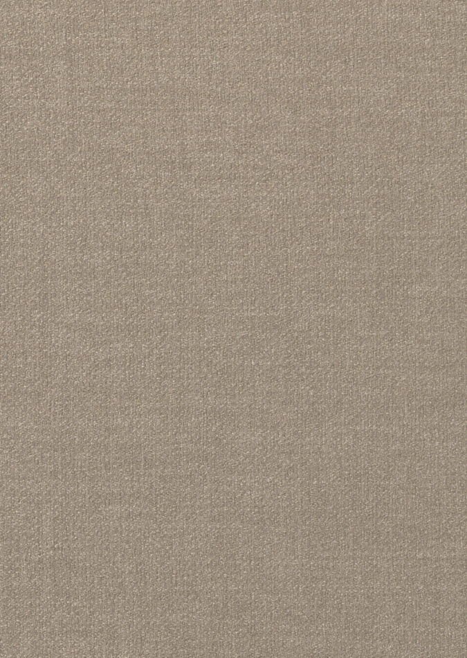 0107400005_harvard_05_texture