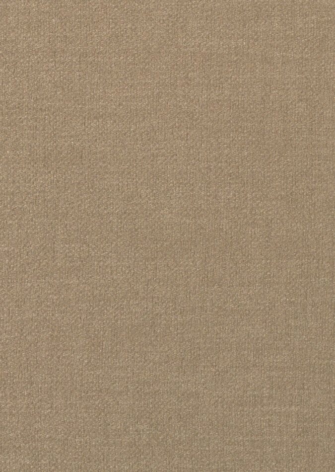 0107400009_harvard_09_texture