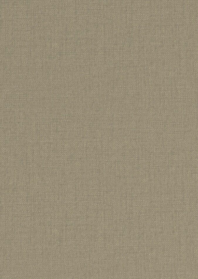 0107880003_ripon_03_texture