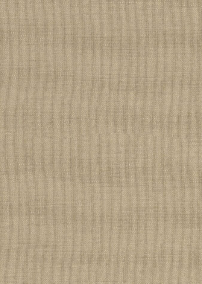 0107880004_ripon_04_texture