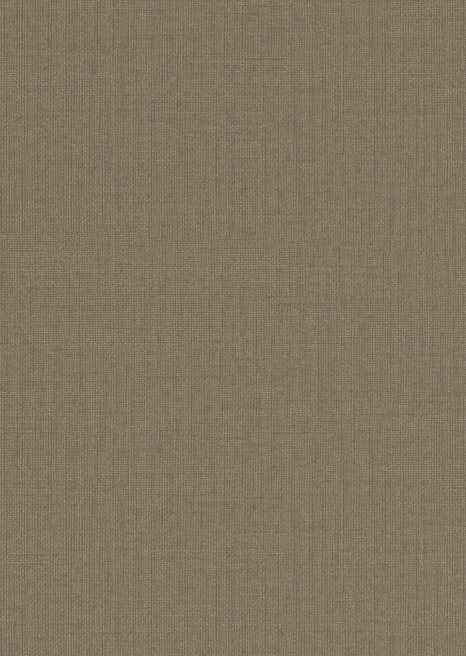0107880005_ripon_05_texture