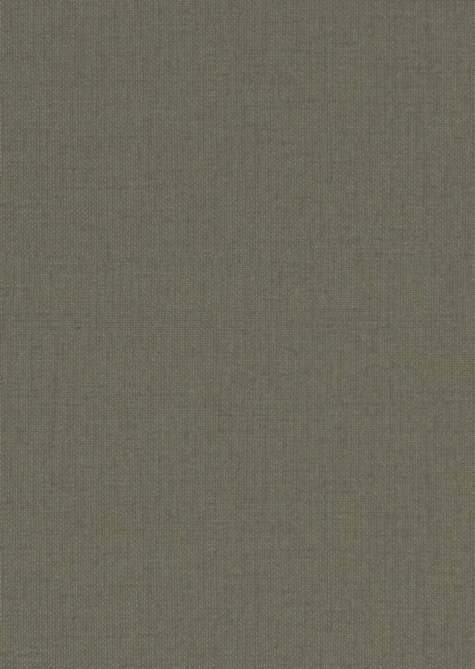 0107880006_ripon_06_texture