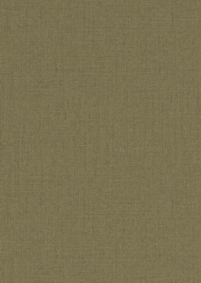 0107880007_ripon_07_texture