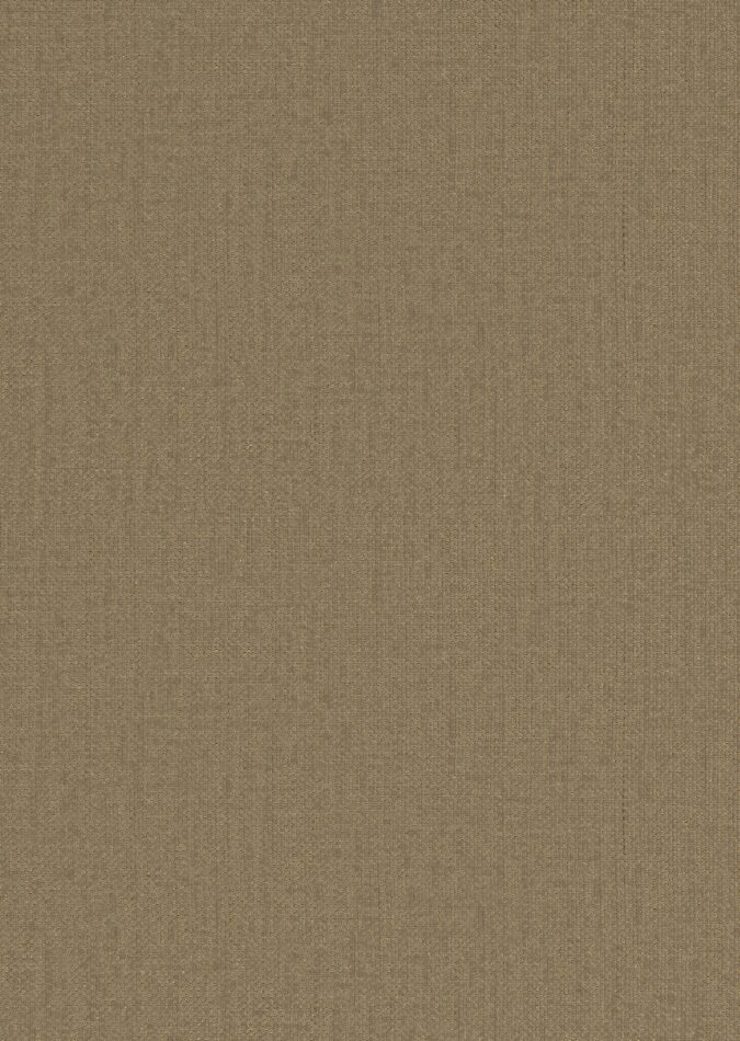0107880008_ripon_08_texture