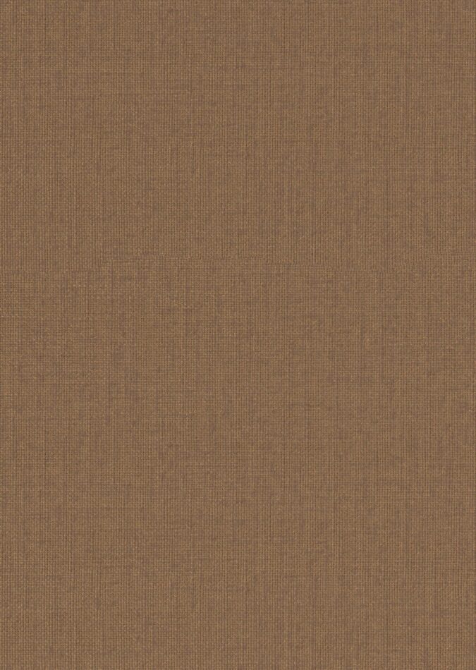 0107880009_ripon_09_texture