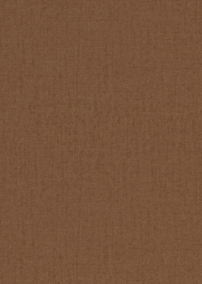 0107880010_ripon_10_texture