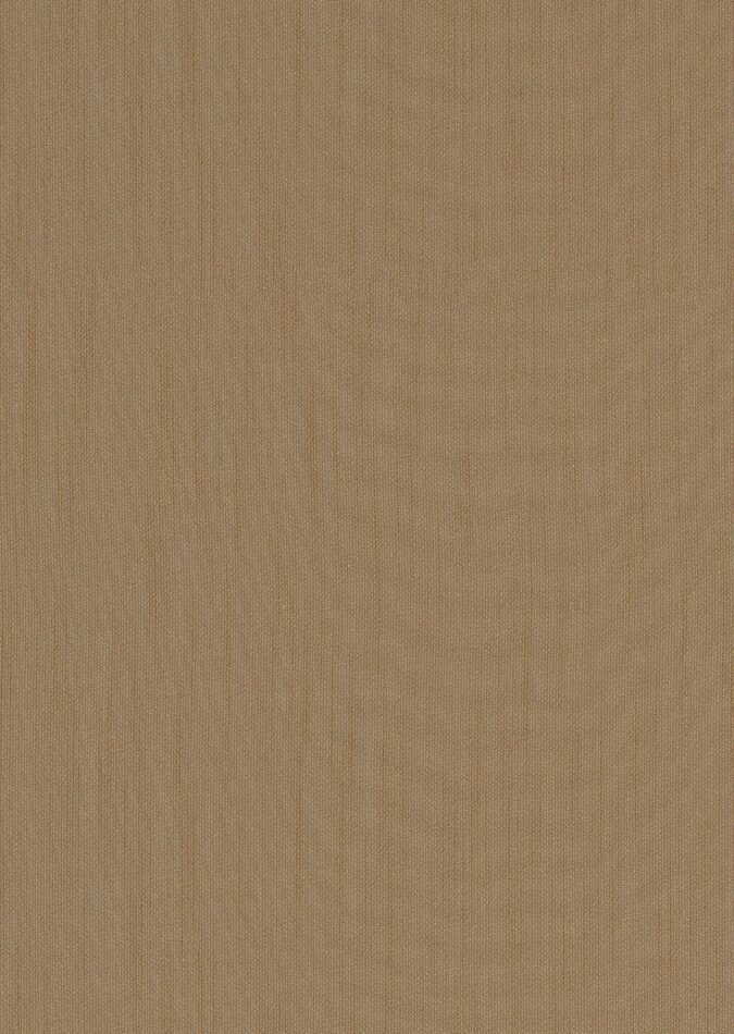 0107910006_toronto_06_texture