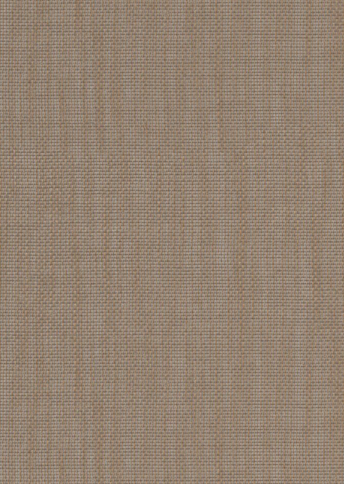 0107930005_ely_05_texture