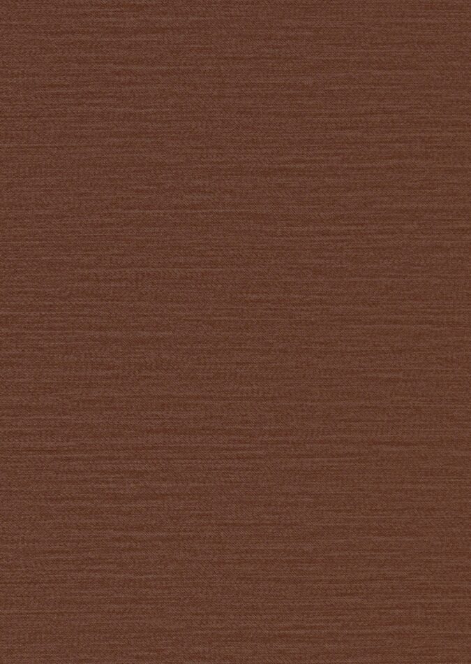 0107960006_brandon_06_texture